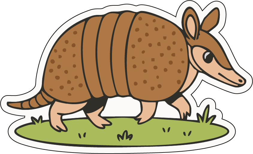 armadillo1